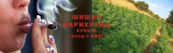 бошки Пересвет
