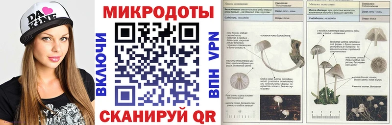 Галлюциногенные грибы Psilocybine cubensis  hydra   Электрогорск 
